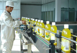 果汁鏈板輸送機