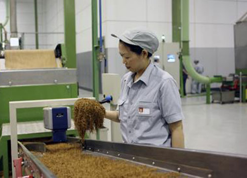 煙草托輥輸送機(jī)