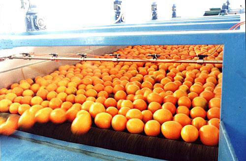 蔬菜滾筒輸送機